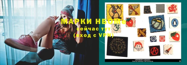 стаф Алексин