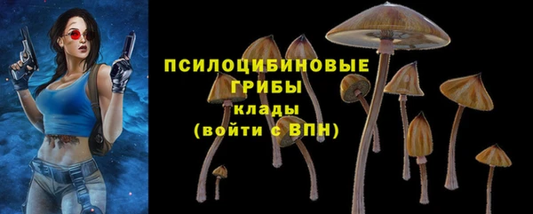 гидропоника Алзамай