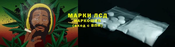 гидропоника Алзамай