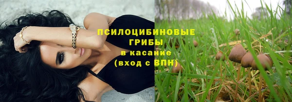 молекула духа Алексеевка